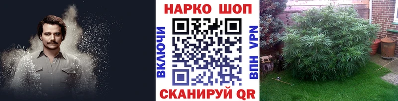 Где продают наркотики Шлиссельбург Псилоцибиновые грибы  А ПВП  Кетамин  АМФ  Меф мяу мяу  ГАШ  Конопля  Кокаин 