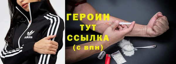 шишки Няндома