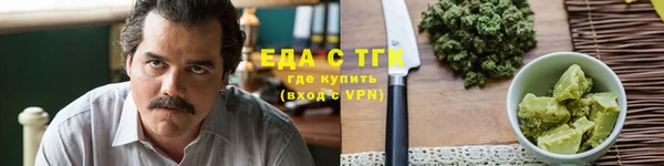 шишки Няндома