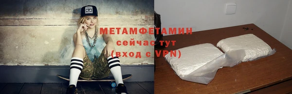 шишки Няндома