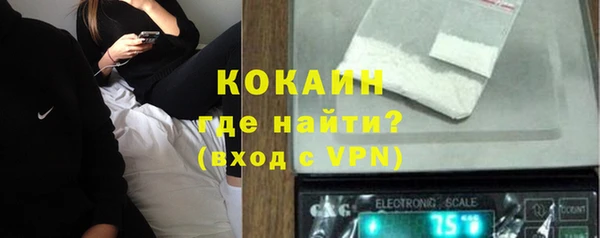 шишки Няндома
