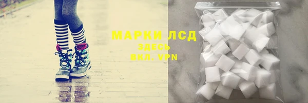 шишки Няндома