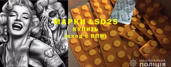 шишки Няндома