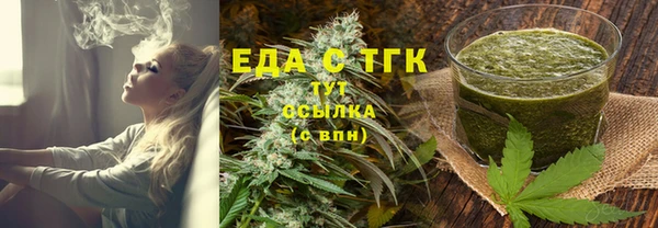 шишки Няндома