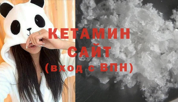 шишки Няндома