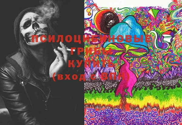 шишки Няндома