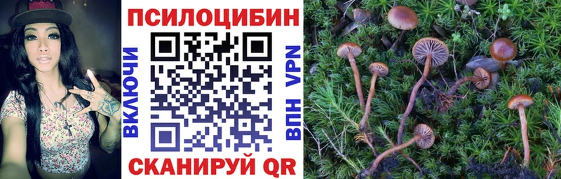 Псилоцибиновые грибы мицелий  Шлиссельбург 