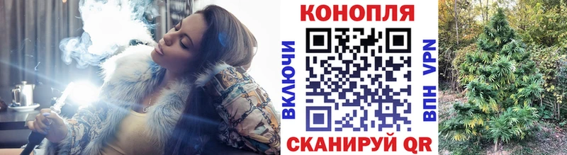 Бошки марихуана семена  цены наркотик  Шлиссельбург 